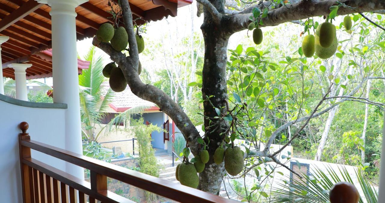 Terrace Garden Ayurveda Resort 韦利格默 外观 照片
