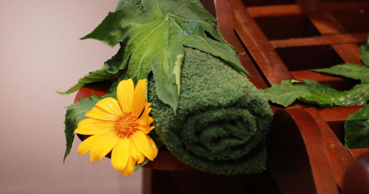 Terrace Garden Ayurveda Resort 韦利格默 外观 照片