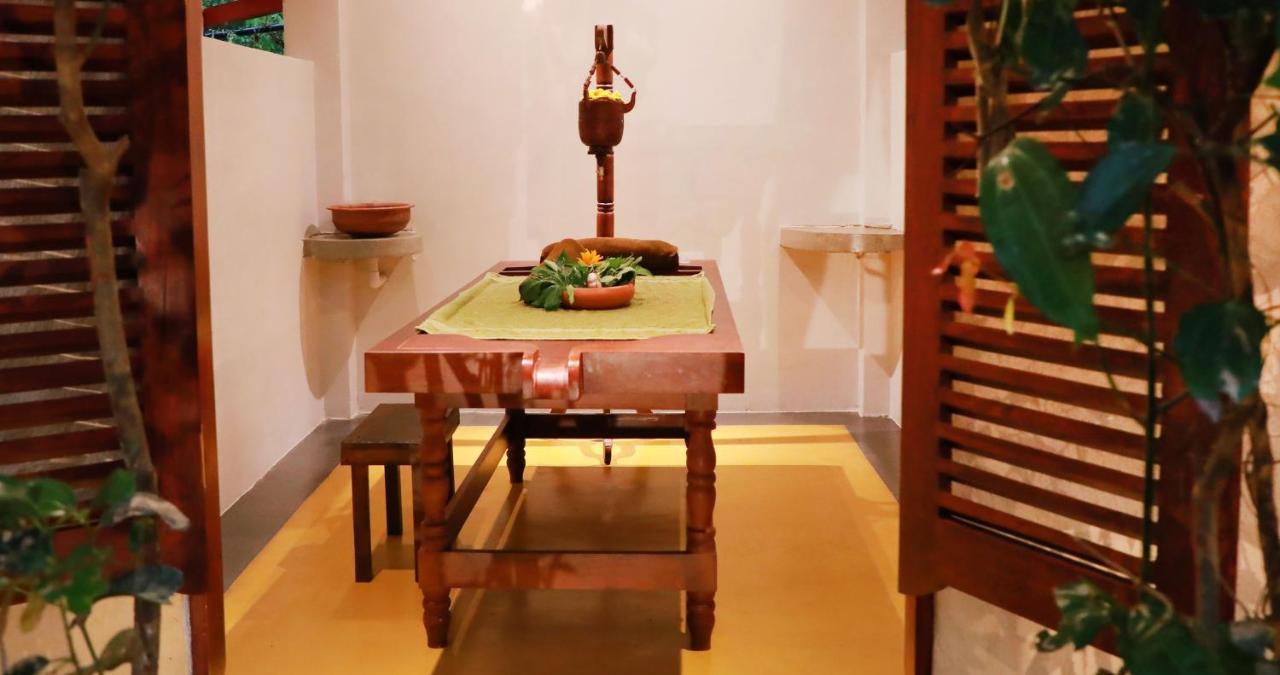 Terrace Garden Ayurveda Resort 韦利格默 外观 照片