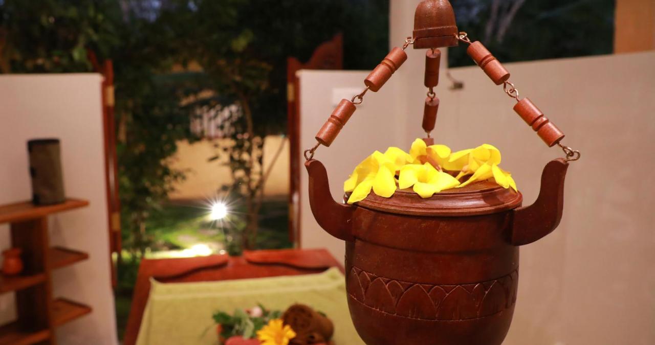 Terrace Garden Ayurveda Resort 韦利格默 外观 照片
