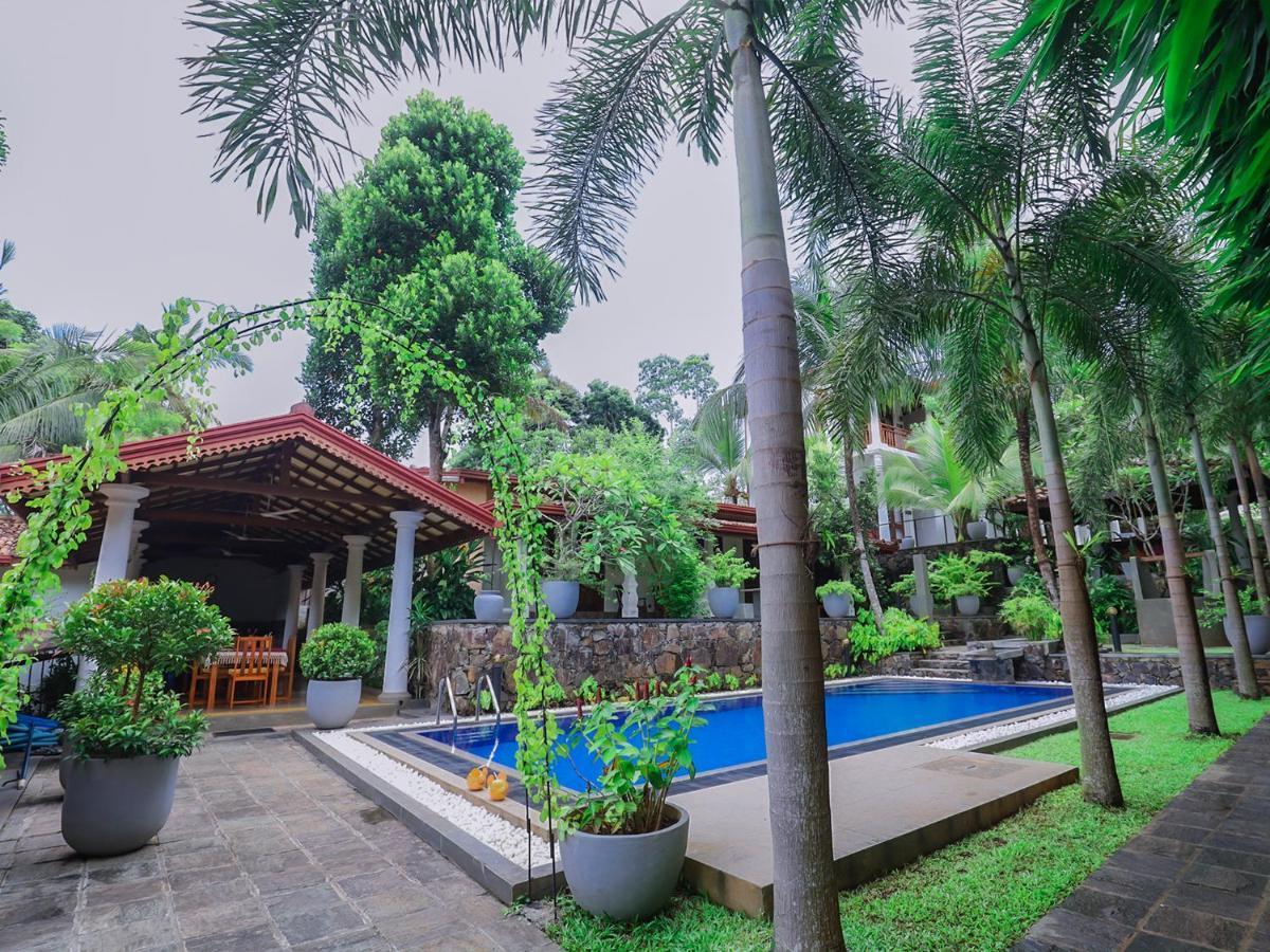 Terrace Garden Ayurveda Resort 韦利格默 外观 照片